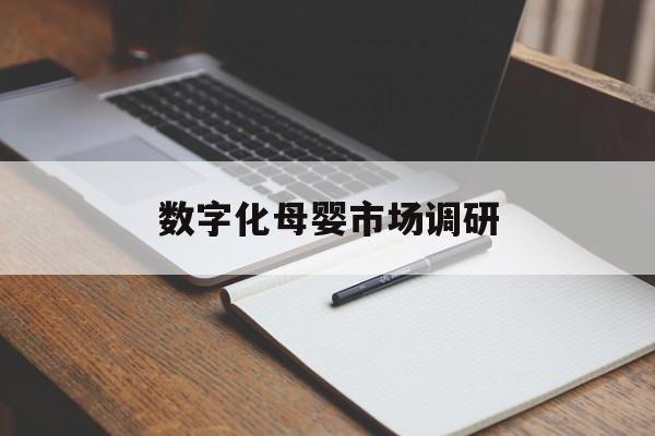 邢台市数字化母婴市场调研(数字化母婴市场调研报告)